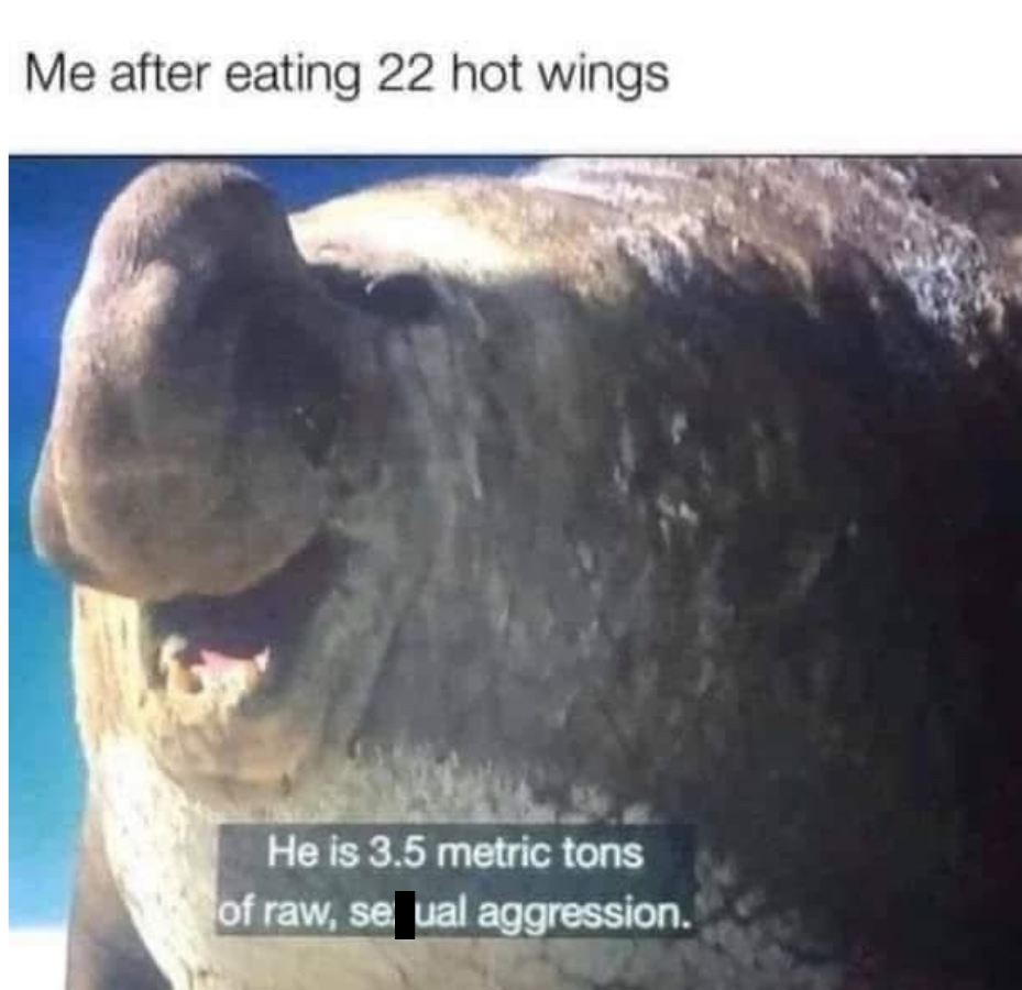 22 hot wings