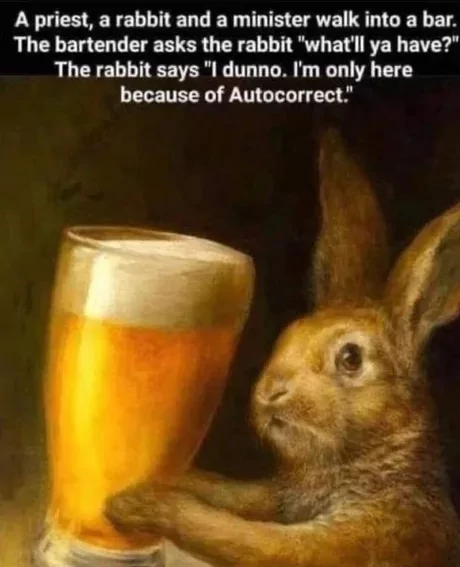 35 Rabbit Memes to Share the Hoppiness on International Rabbit Day! 33 A rabbi and a priest