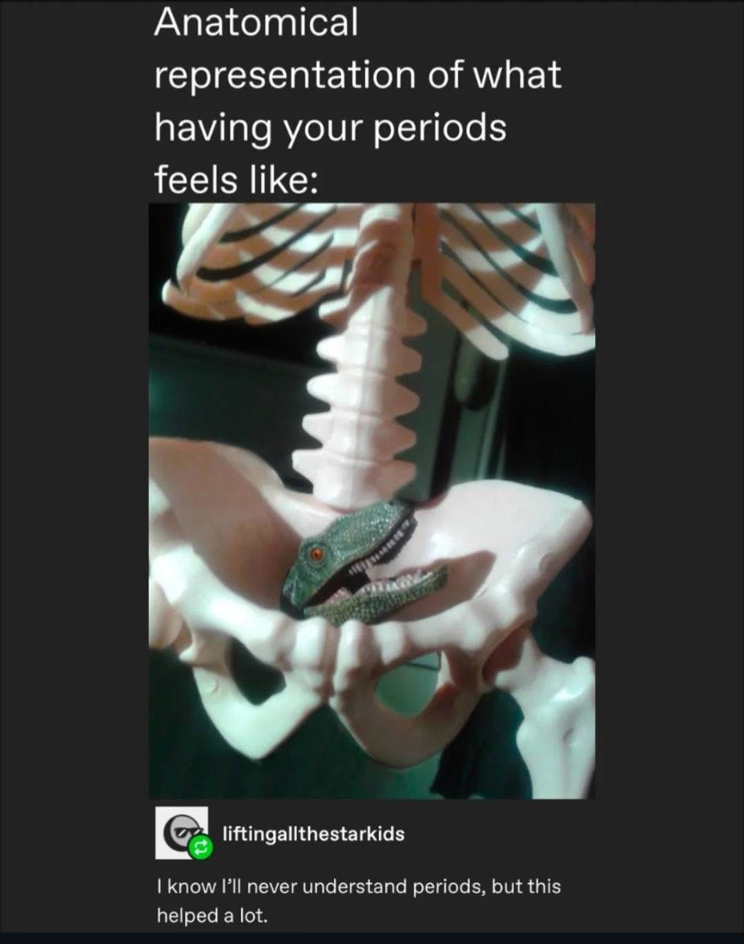 Anotomical representation