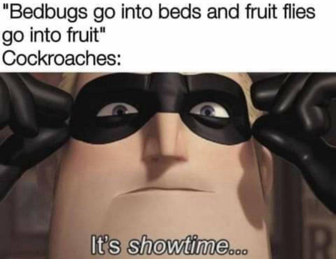 20 memes that don’t believe in logic — and honestly, neither should you 3 Bedbugs go into beds
