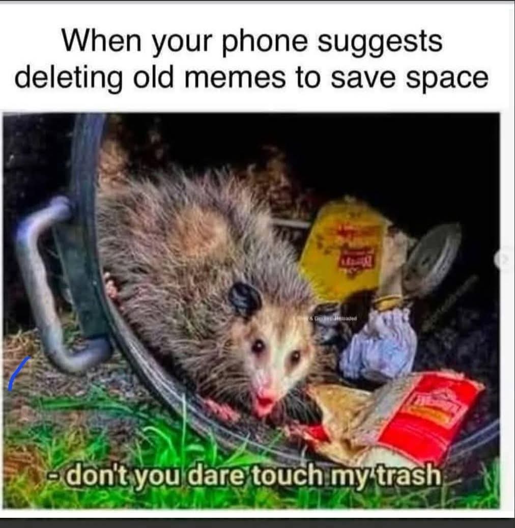Deleting old memes