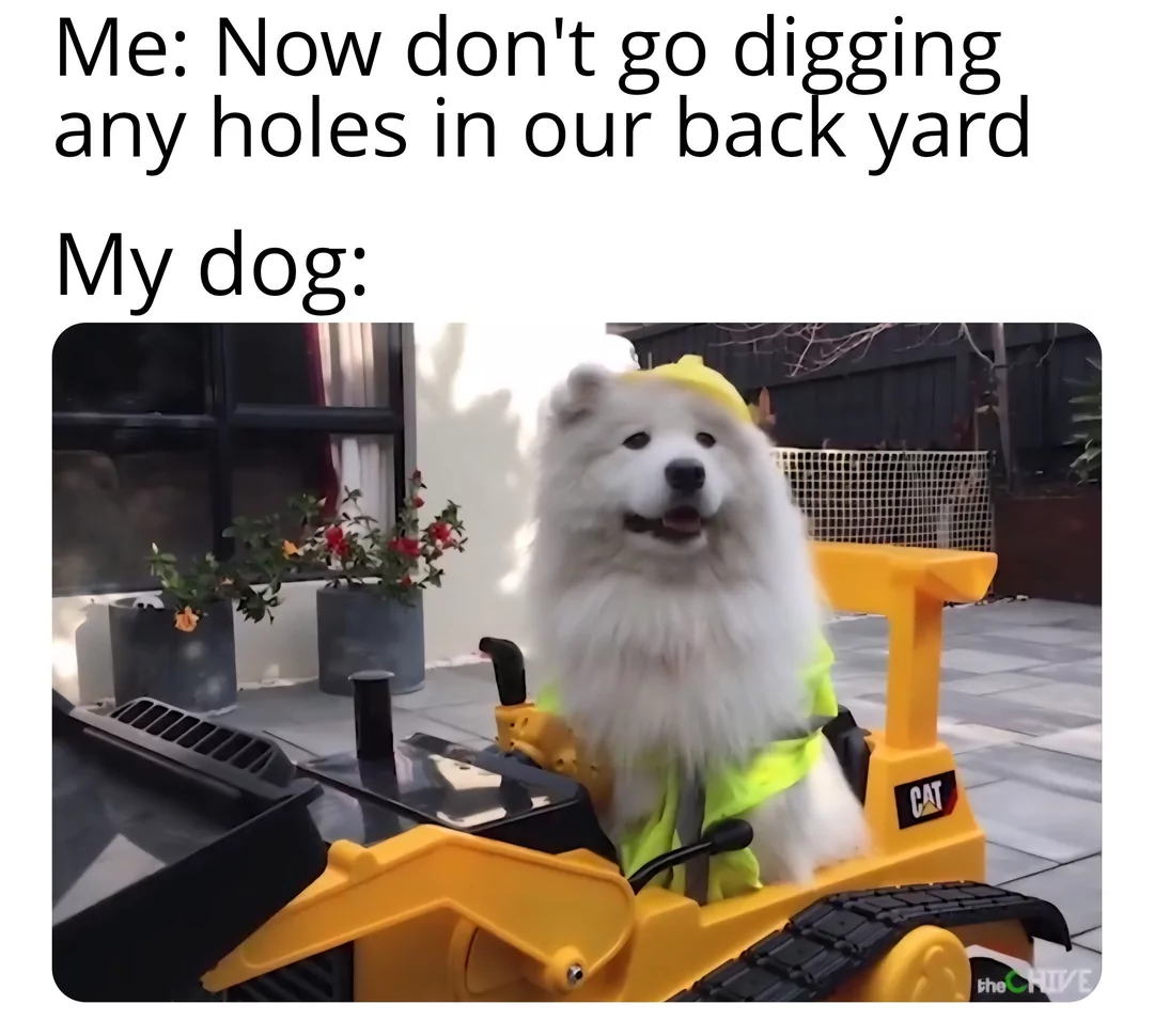 35 Literal Memes That Take Things Way Too Seriously 34 Dont go diggin