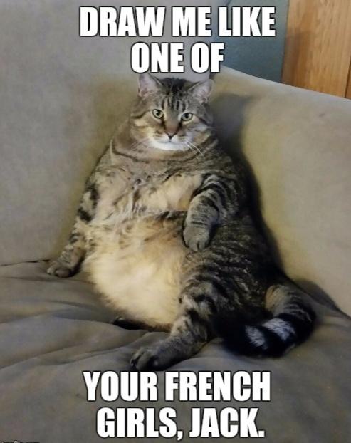 35 Clawsome Cat Memes: Get Ready To Laugh Your Whiskers Off! 32 Draw me