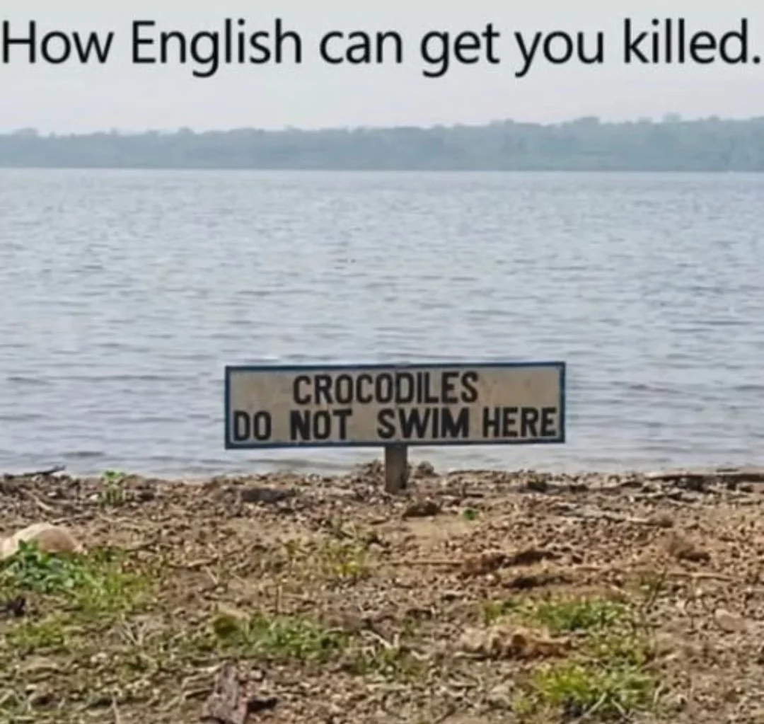 When English Goes Wrong: 30 Hilarious Examples of Bad English Memes 31 English can get you killed