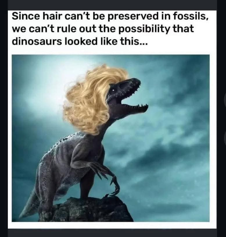 Hair cant be preserved