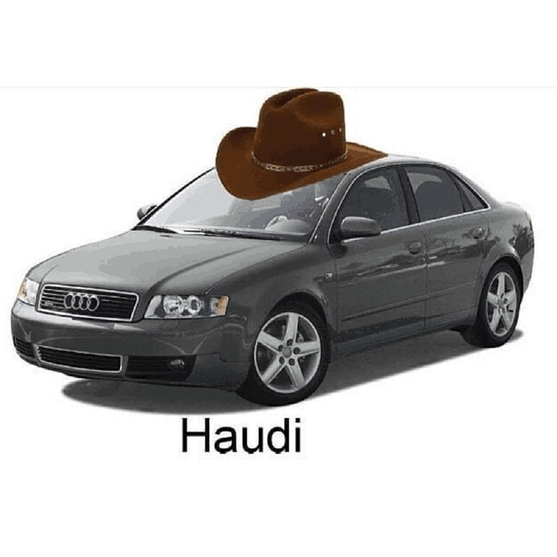 Haudi
