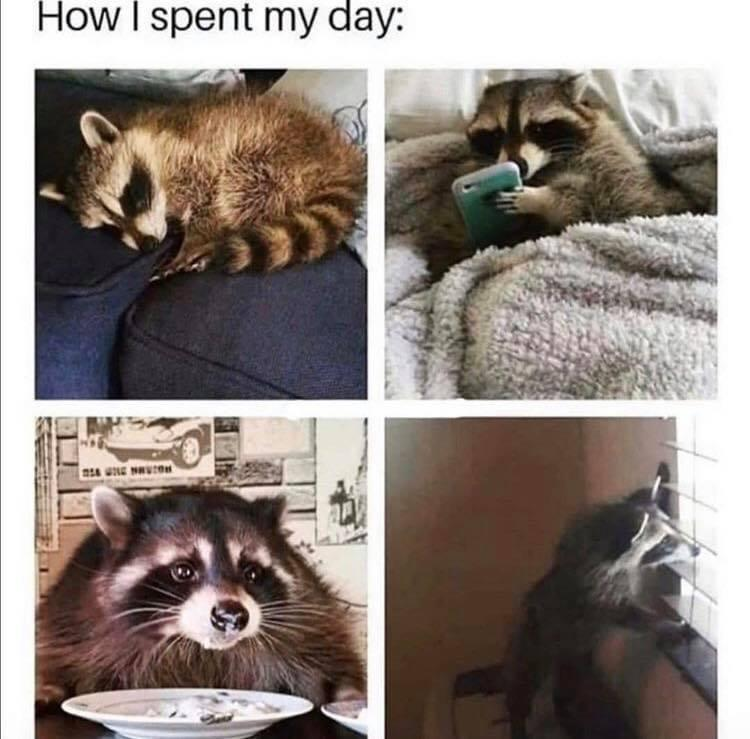 20 Memes That Are Basically Rated R (Really Ridiculous) 5 How I spend My day