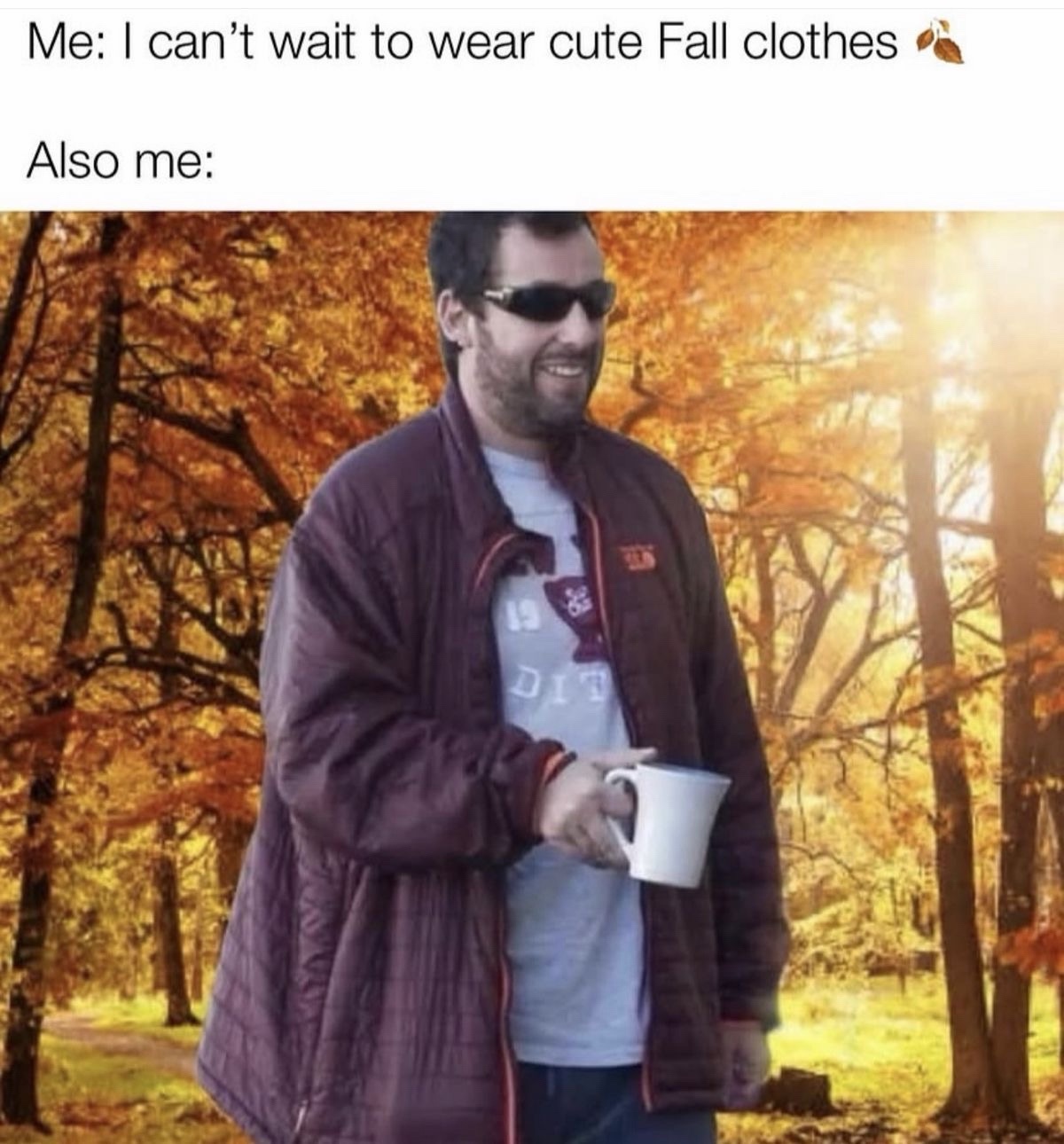 35 Fall Memes That Are as Colorful as the Falling Leaves 34 I cant wait to wear