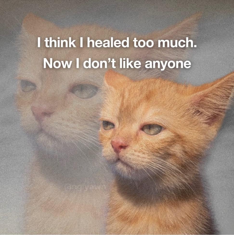 30 Ultimate Cat Memes for a Dose of Feline Fun 29 I healed too much
