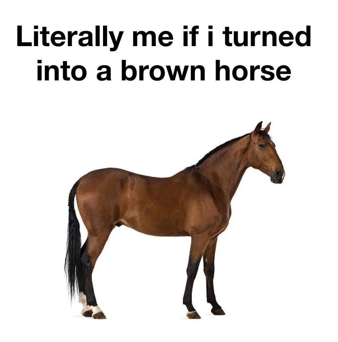 If I turned into a. brown horse