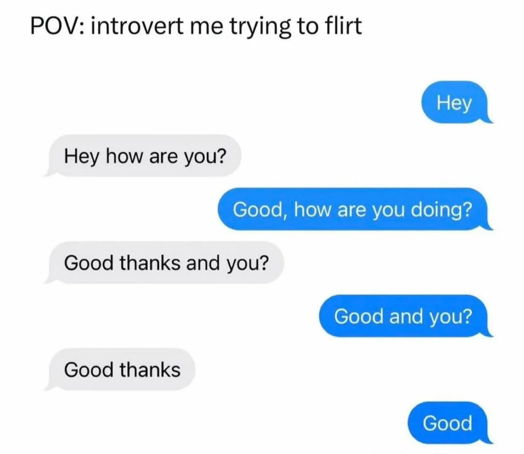 45 Introvert Memes That Celebrate The Quiet Life 44 Introvert trying to flirt
