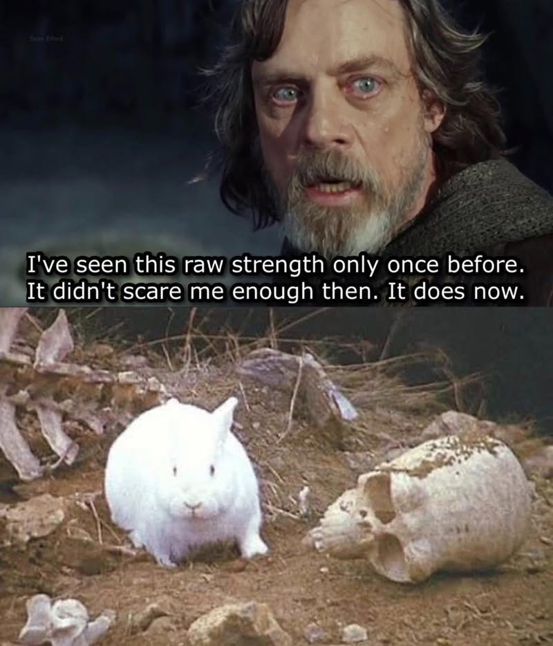 35 Rabbit Memes to Share the Hoppiness on International Rabbit Day! 36 Ive sen this raw strength