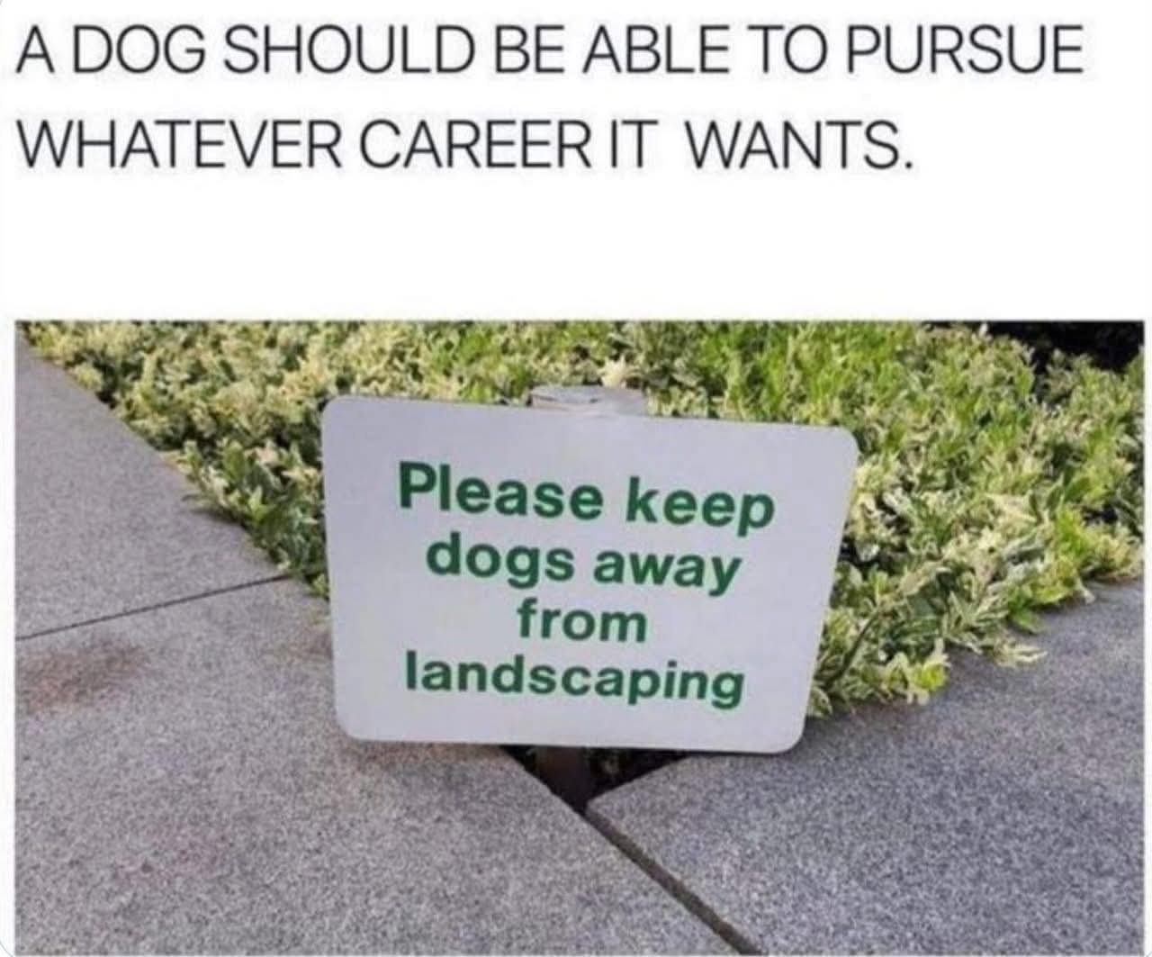 40 Dog Memes That Will Have You Howling With Laughter 40 Keep dogs away