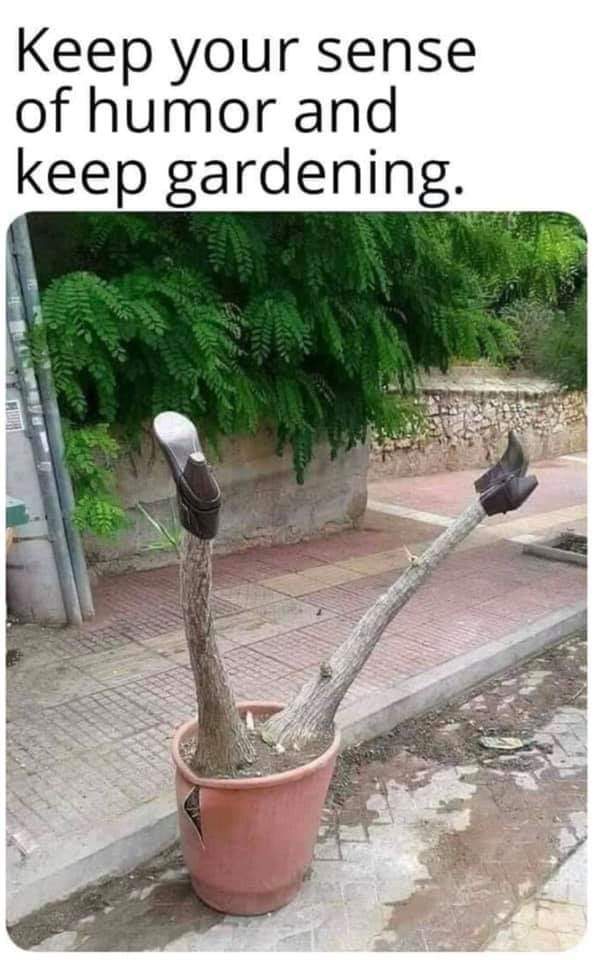 Keep you sense of humor