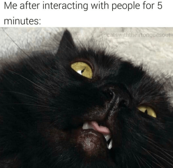 Me after interacting