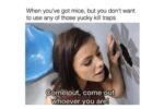 Memes That Are Naughty, Nonsense, and Absolutely Necessary - FG