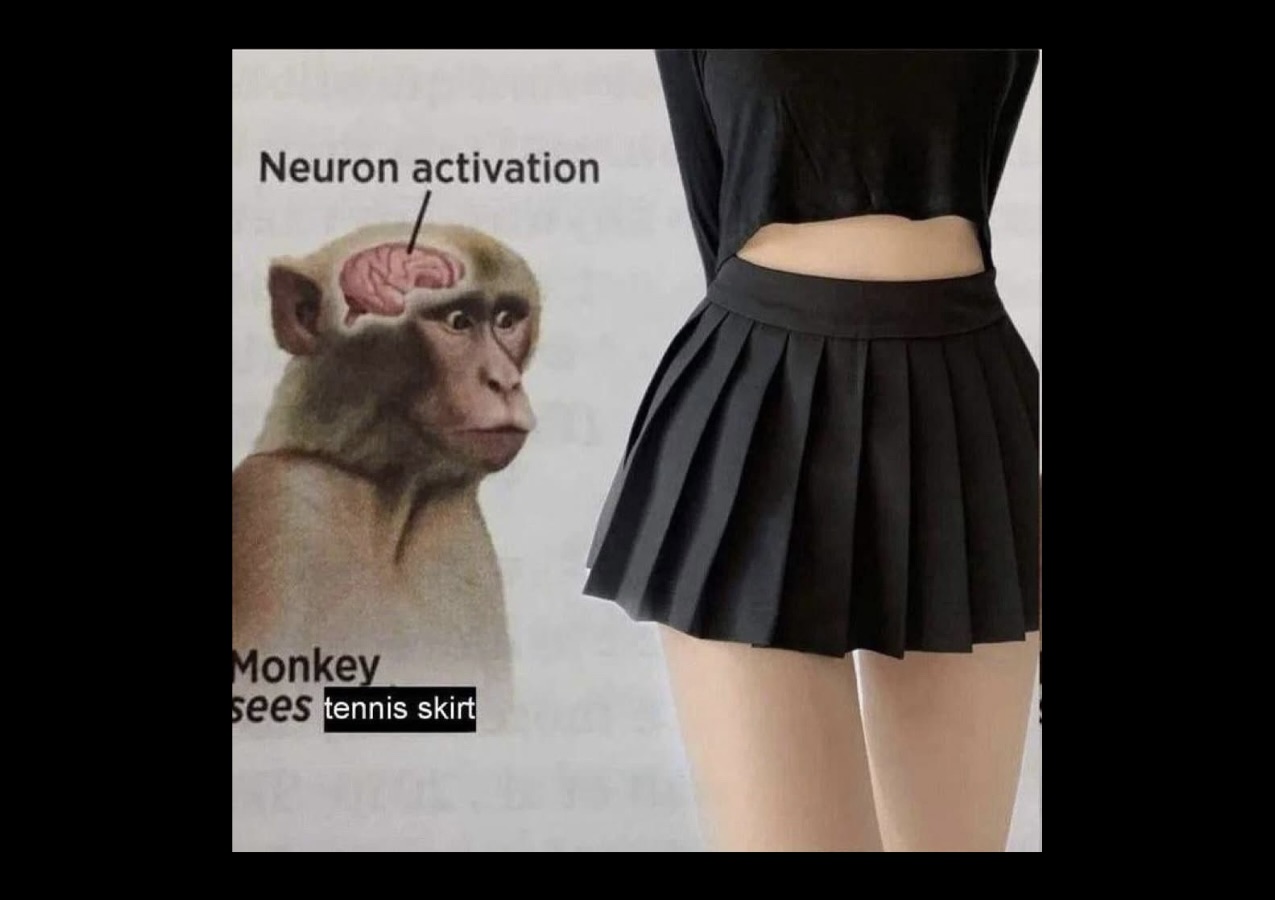 Memes That Burn Calories by Laughing at Them - FG