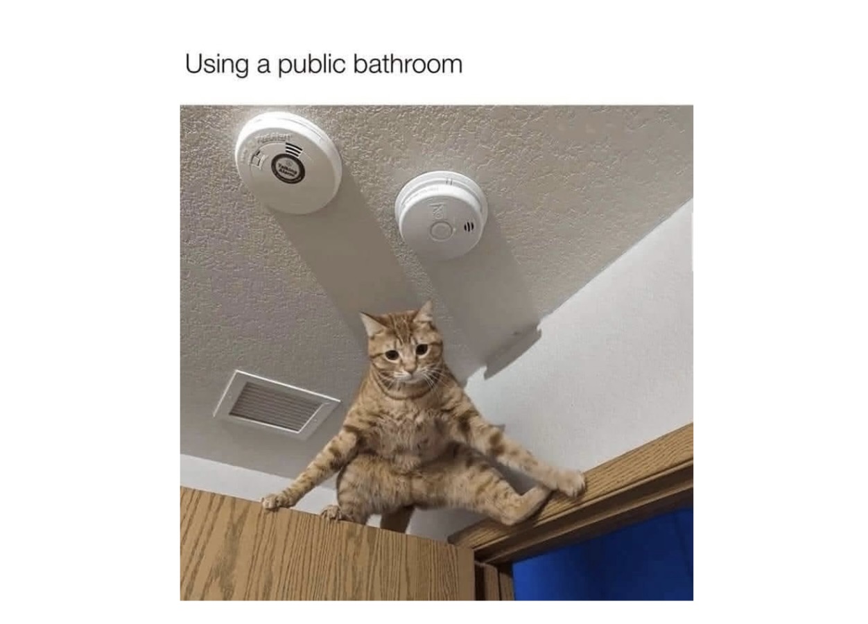 Memes That Hit Harder Than a Door in the Dark - FG 2.jpeg