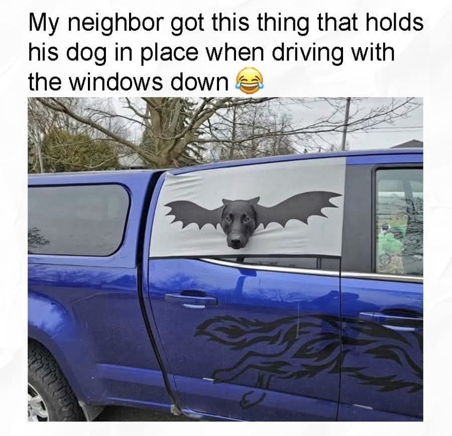 Neighbor got this thing