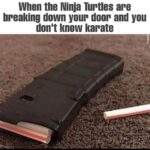 Ninja turtles breaking down your door