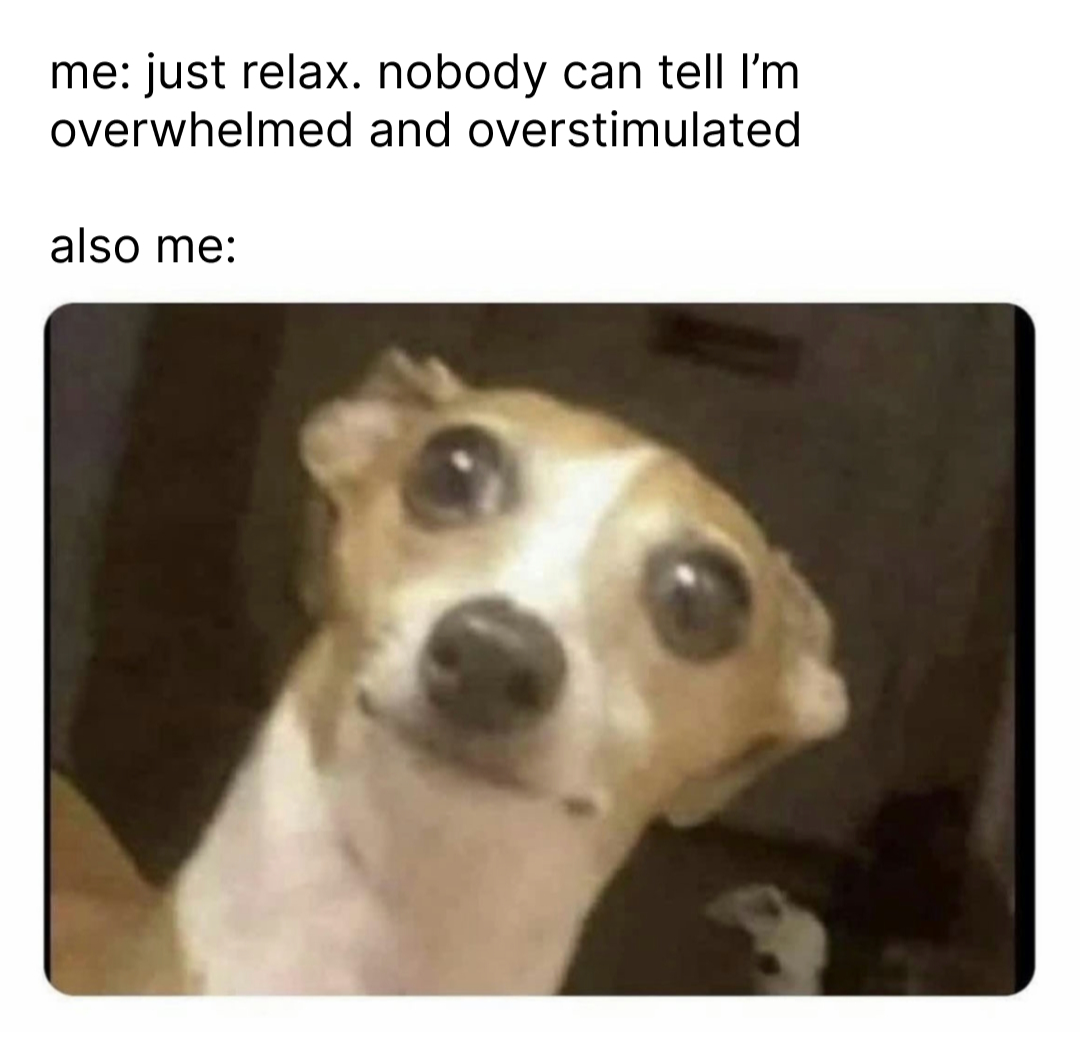 No one can tell Im overwhelmed