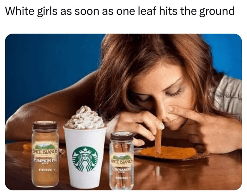 One leaf hits ground