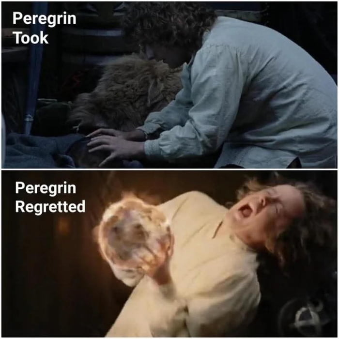 Peregin took