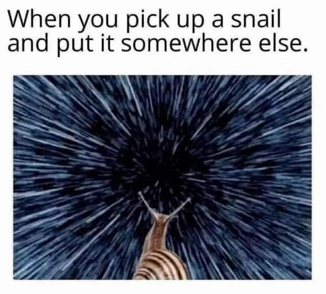 Pick up a snail