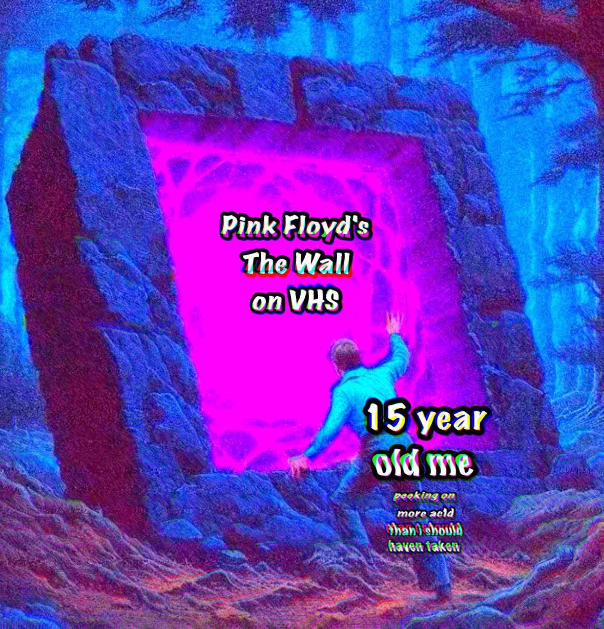 Pink floyds the wall on vhs