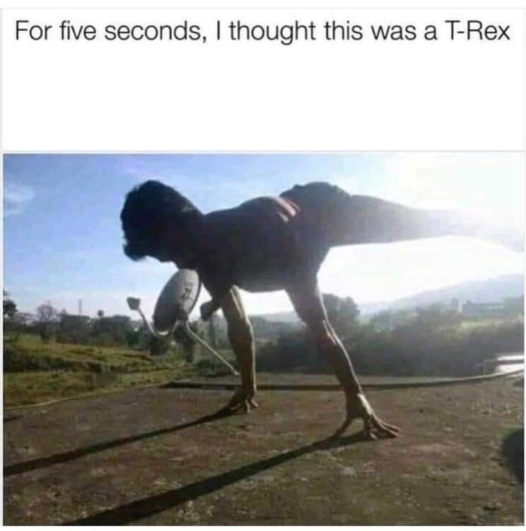 "Once You See It You Cant Unsee It" Moments That'll Make You Rub Your Eyes 41 Saw trex