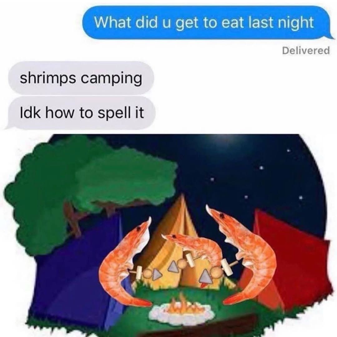 Shrimps camping