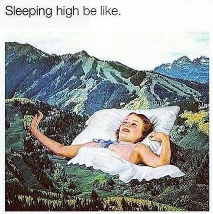 Sleeping high be like