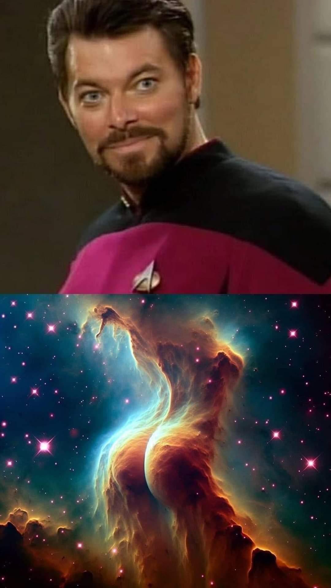 25 Memes That Are Naughty, Nonsense, and Absolutely Necessary 24 Star trek funny
