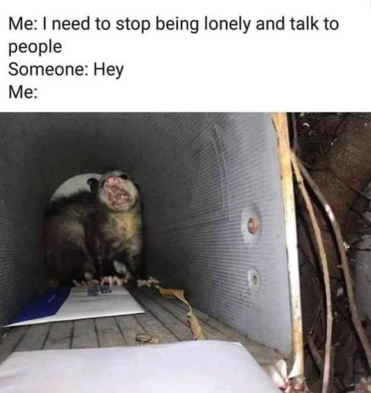 35 Sunday Memes That Will Instantly Brighten Your Day 37 Stoip being lonely