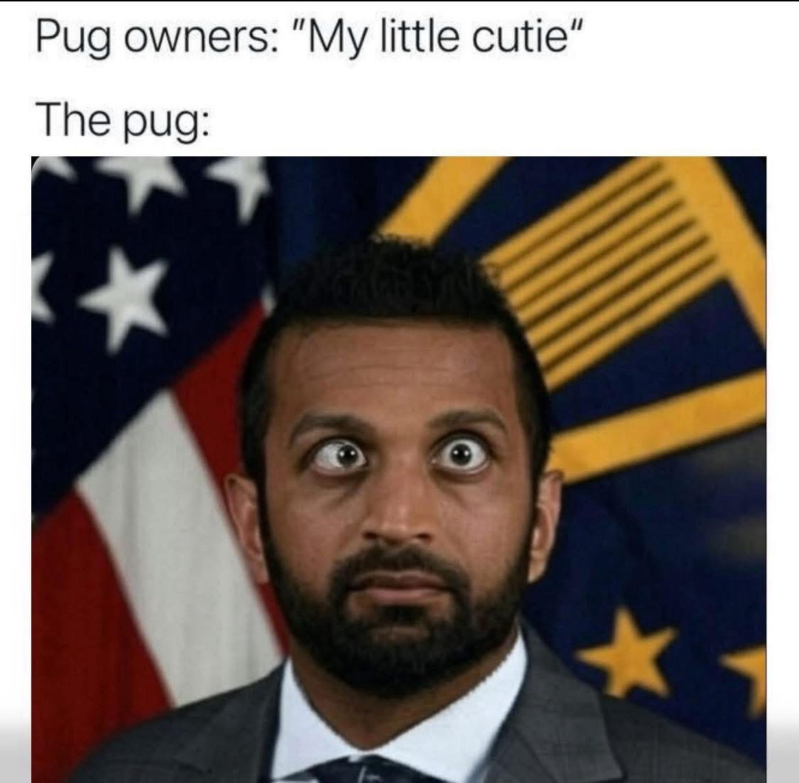 The pug