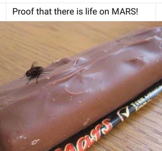 There is life on mars
