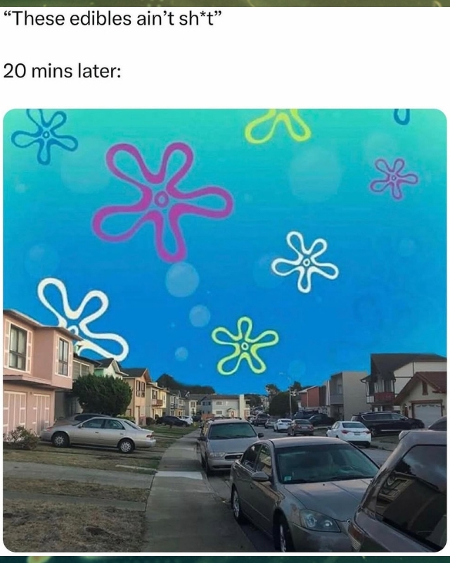 These edibles aint shit