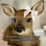 This is who youre talking to - FG