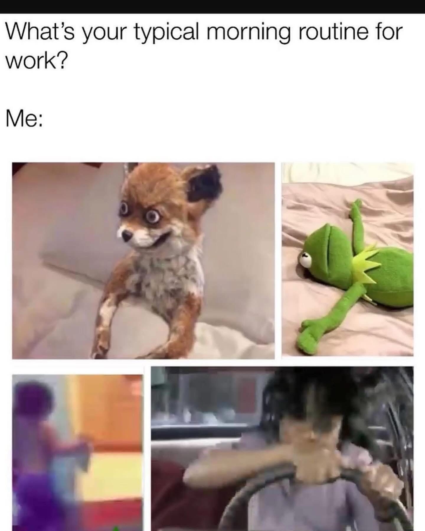 Typical morning routine