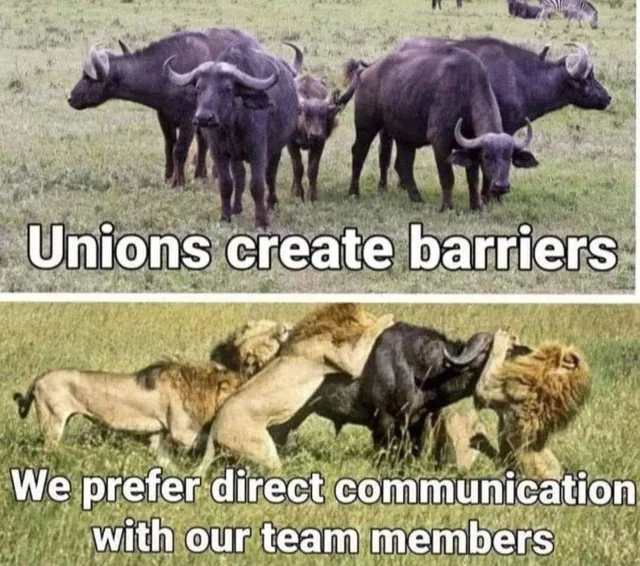 Unions create barriers
