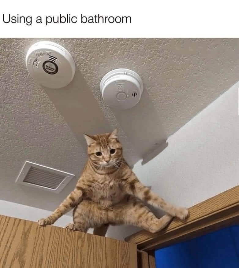 Using a public bathroom
