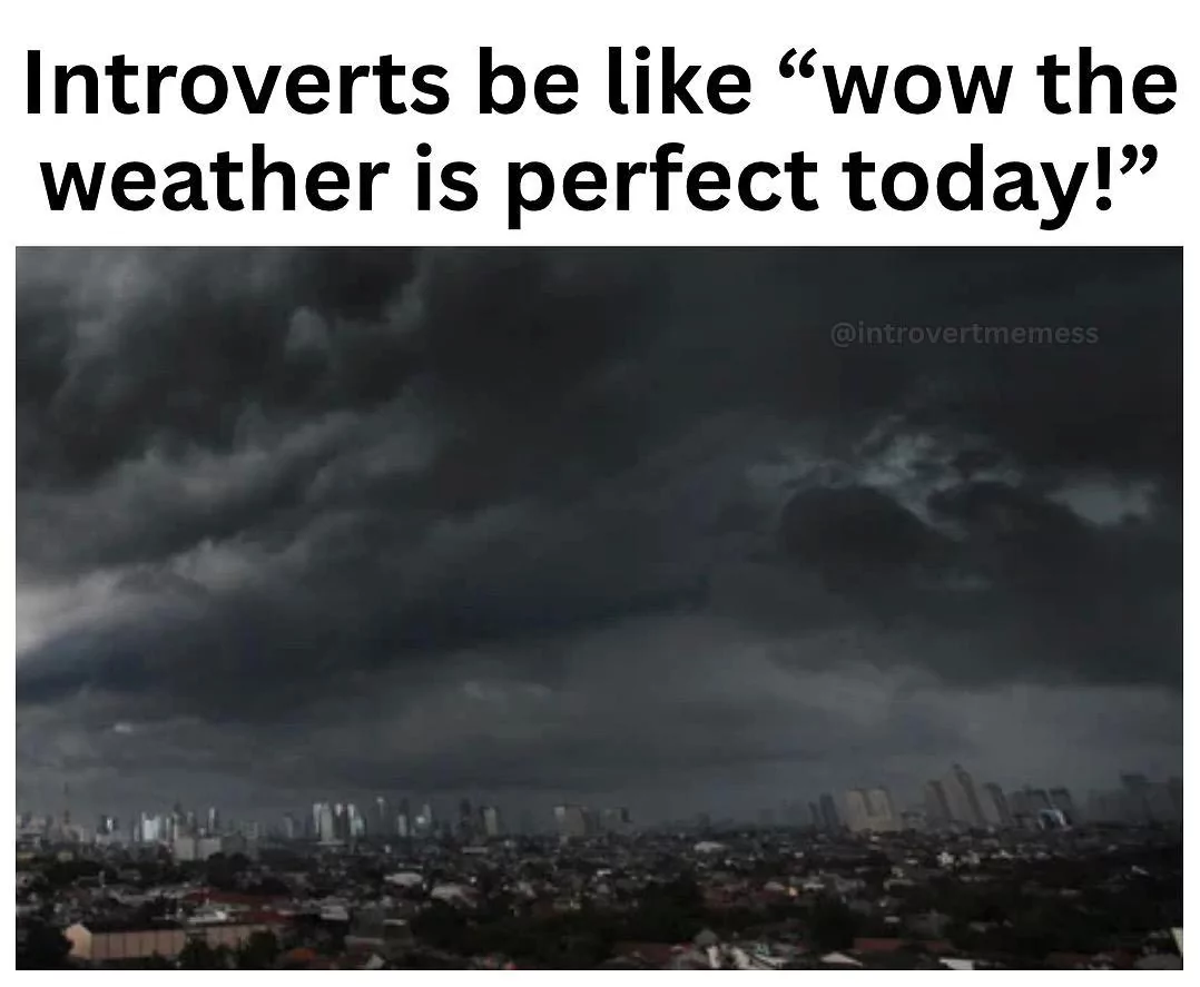 45 Introvert Memes That Celebrate The Quiet Life 46 Weather is perfect