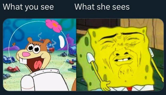 20 Memes That Are Basically Rated R (Really Ridiculous) 16 What you see