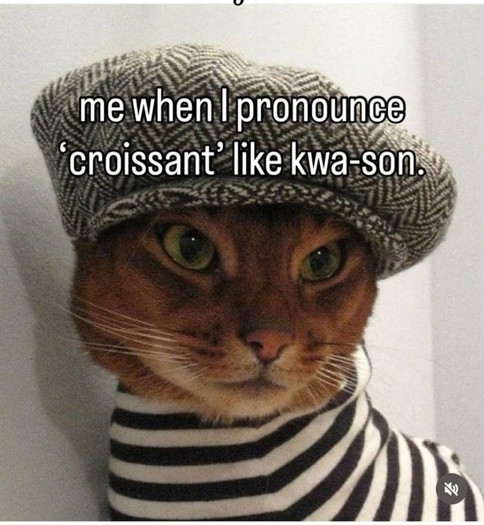 30 Ultimate Cat Memes for a Dose of Feline Fun 31 When I pronounce