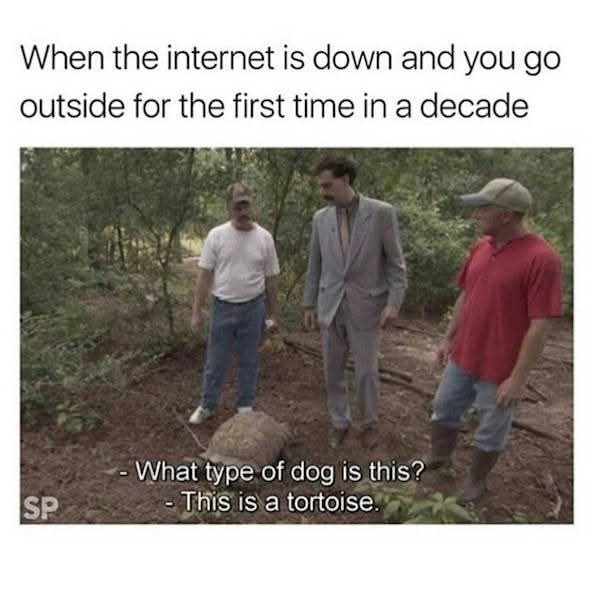 When the internet is down