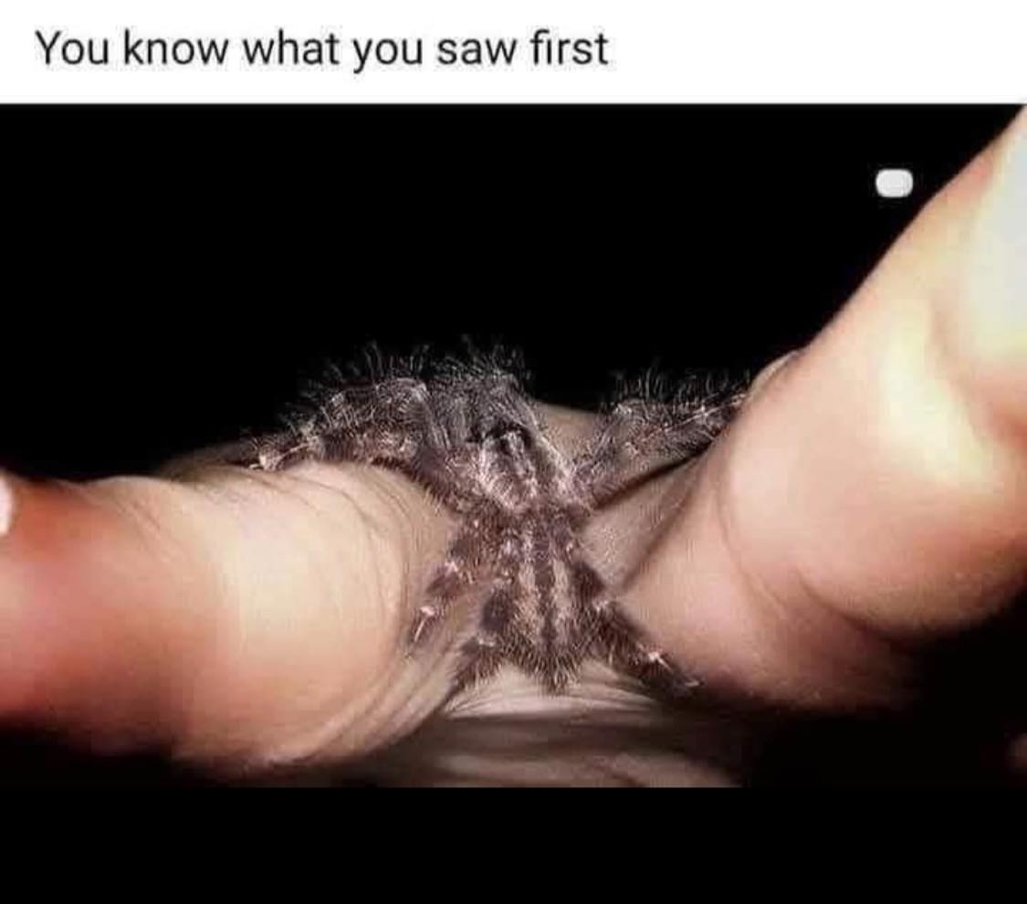 "Once You See It You Cant Unsee It" Moments That'll Make You Rub Your Eyes 42 You know what you saw