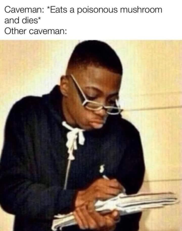 20 Memes So Random They Could Be a Deleted Scene from Reality 5 ats poisonous mushroom