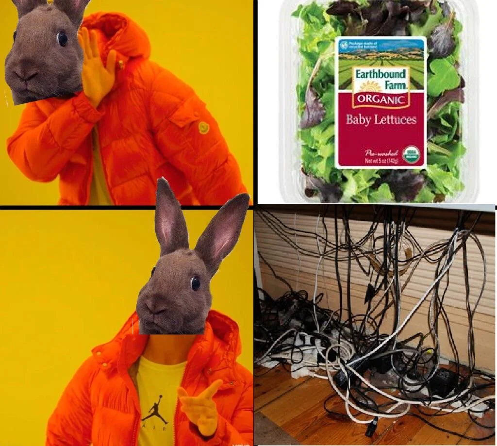 35 Rabbit Memes to Share the Hoppiness on International Rabbit Day! 34 baby lettuces