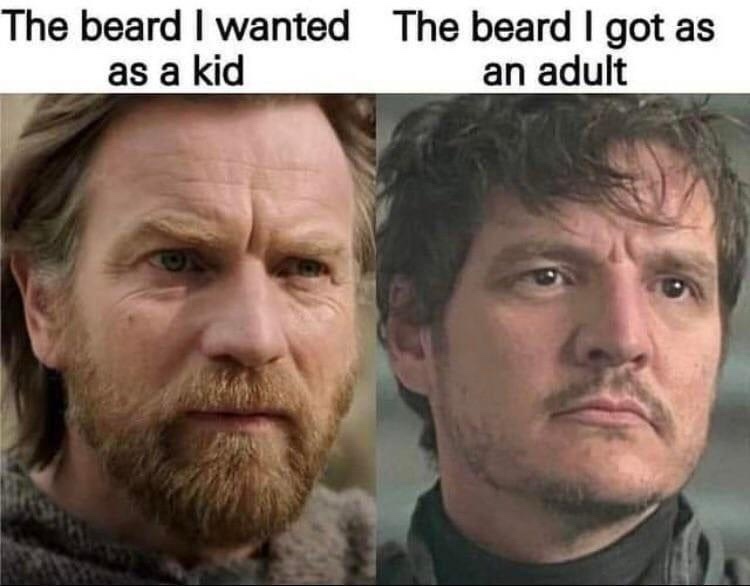  beard I wanted