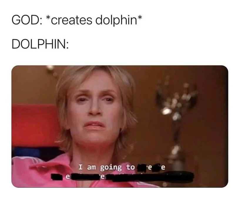 creates dolphin